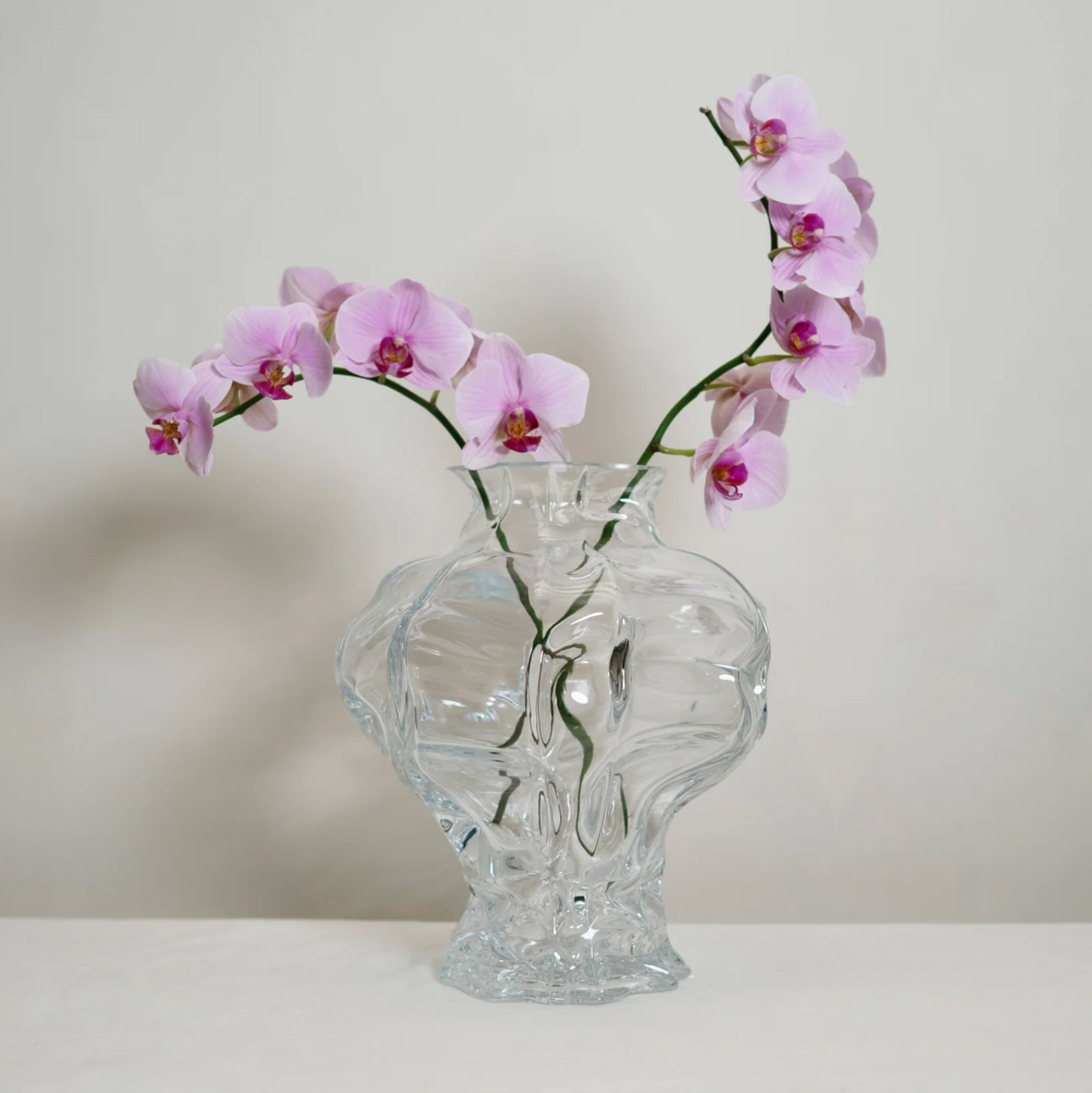 Hein Studio Ammonit Vase - Clear