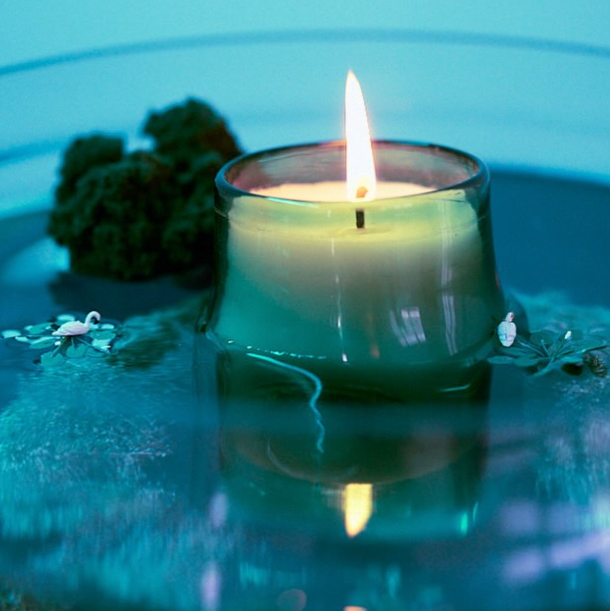 Moon Moss Candle by Curionoir