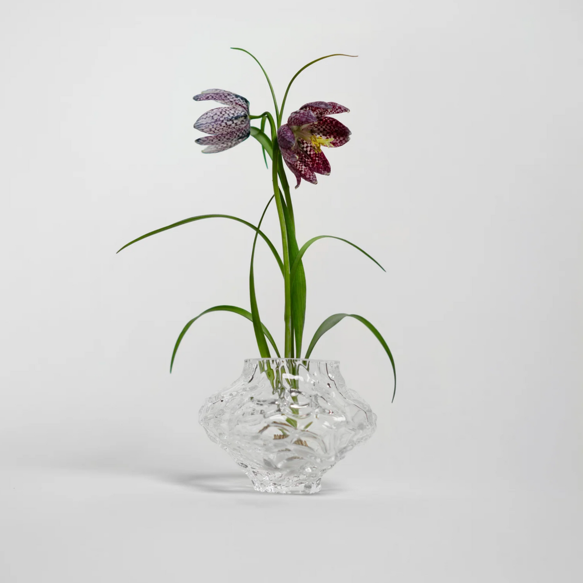 Canyon Vase - Mini - Clear