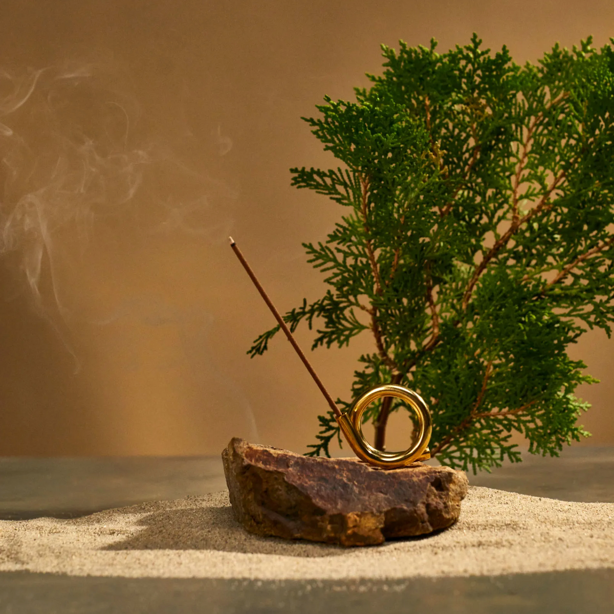 Taiwanese Hinoki