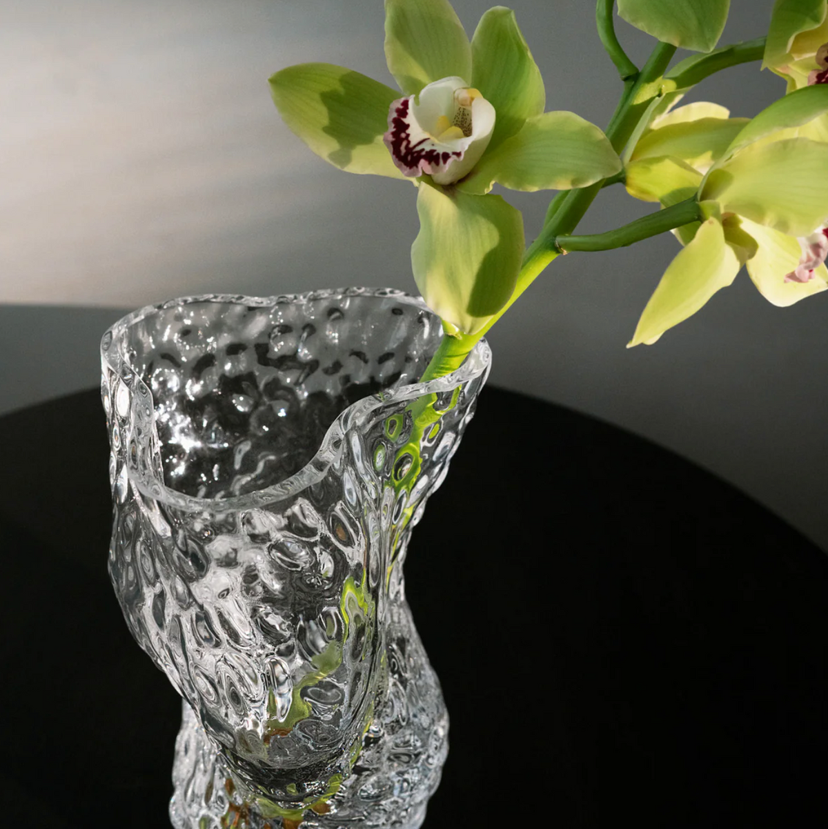 Ostrea Rock Glass Vase - Clear