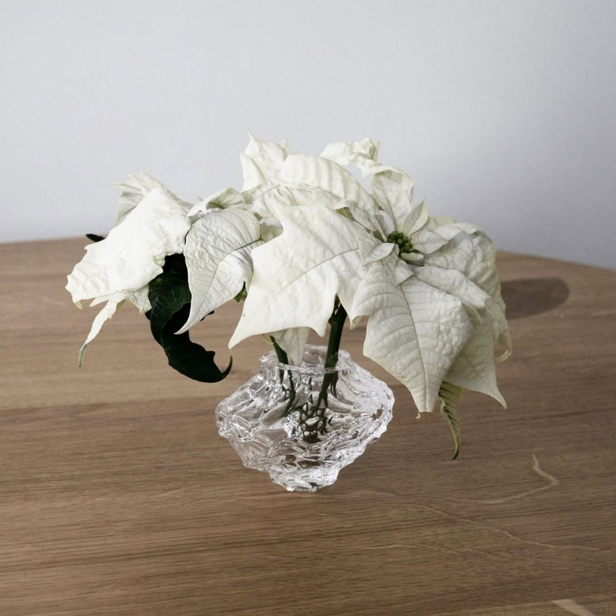 Canyon Vase - Mini - Clear