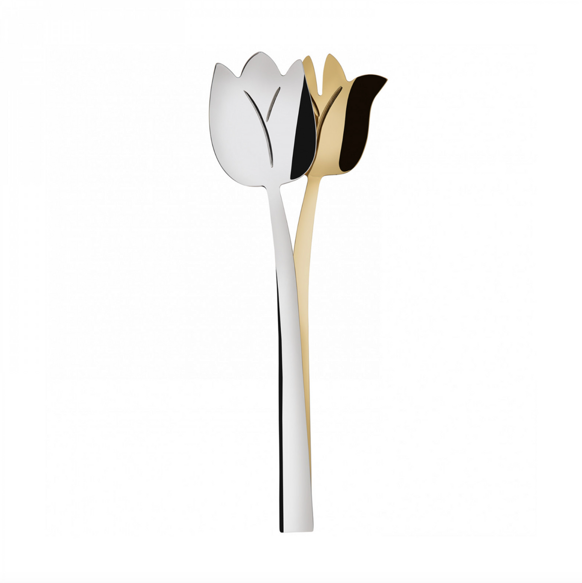 Tulipano Salad Set