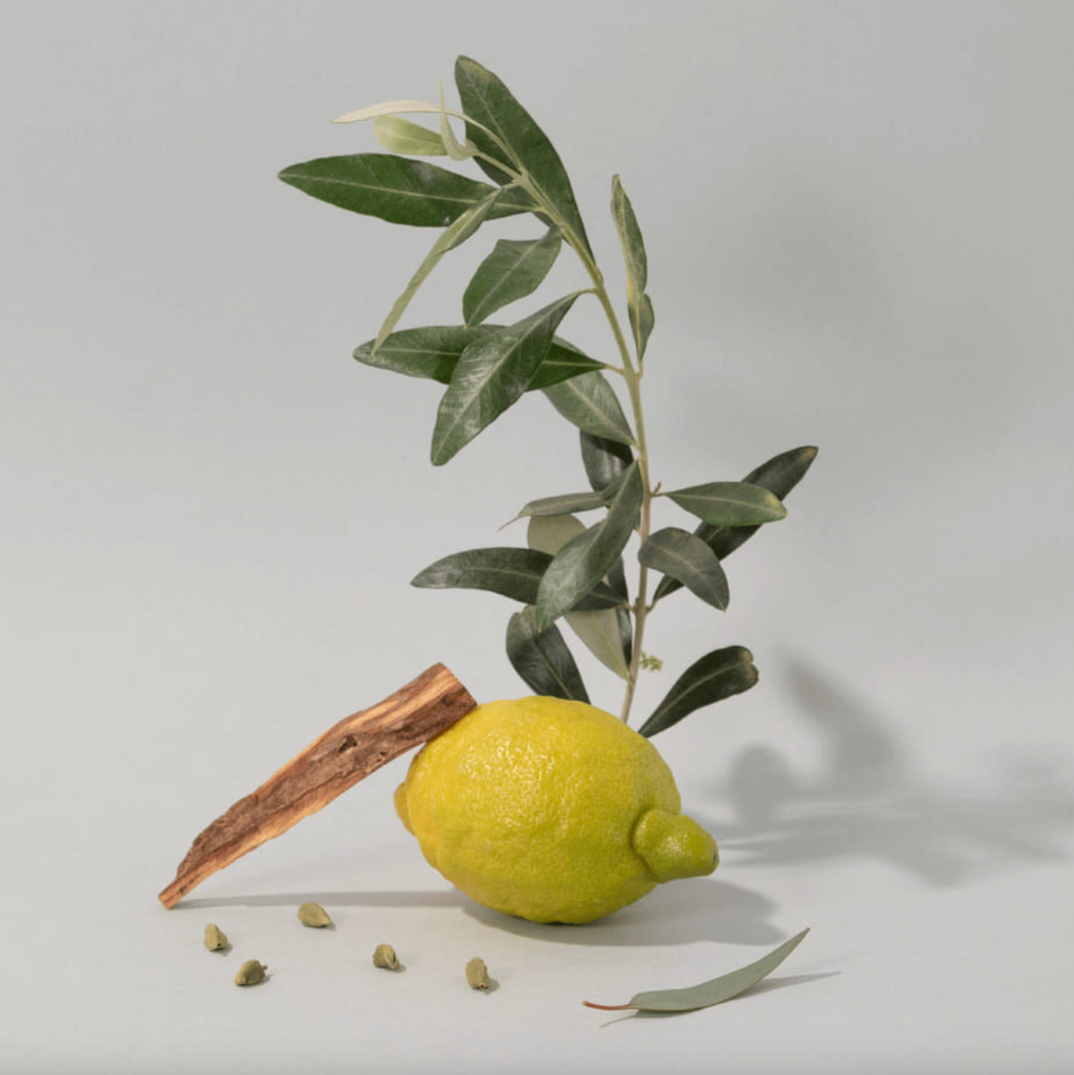 Hand Cream - Olive Wood (30ml)