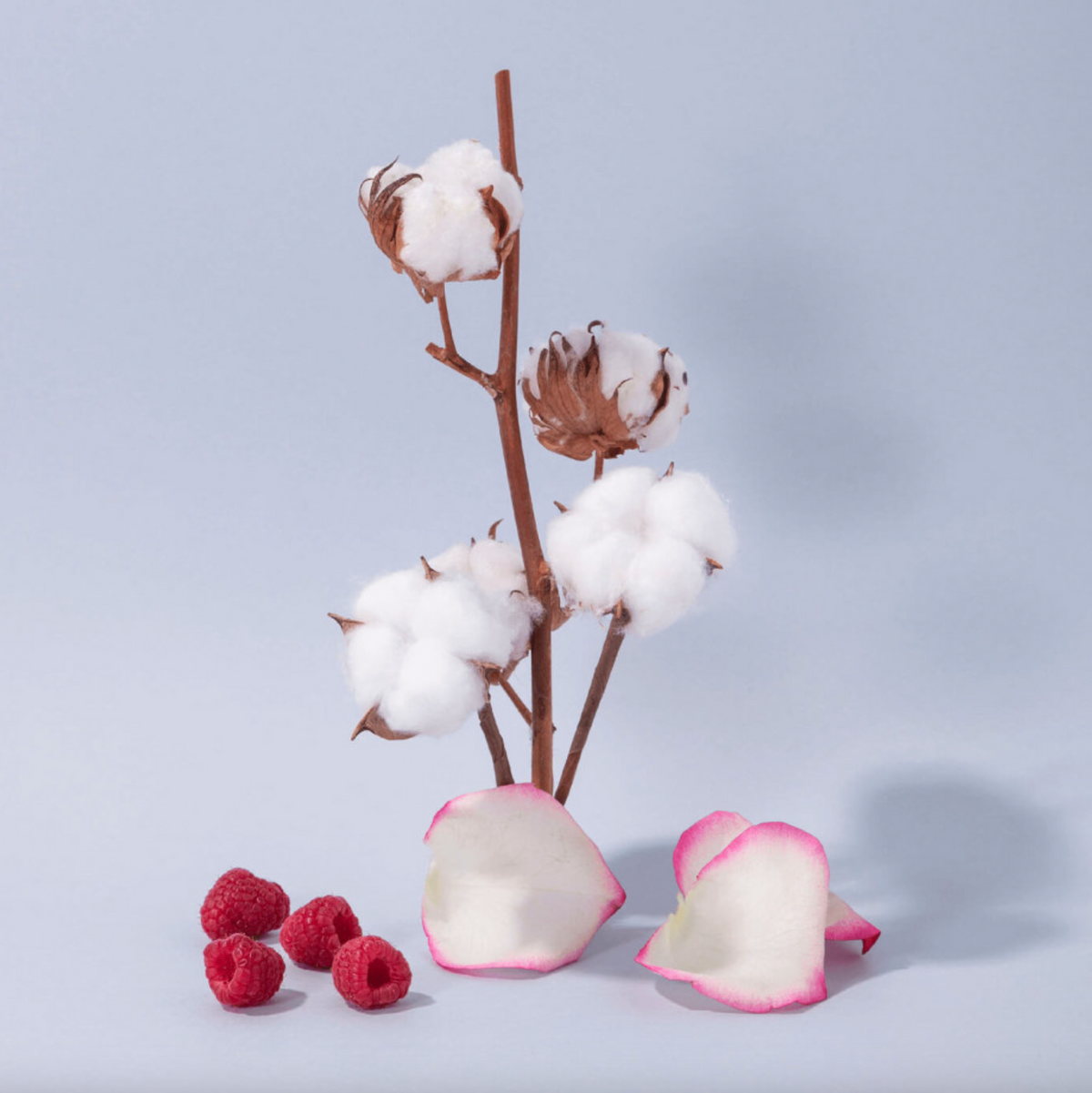 Hand Cream  - Cotton Flower (30ml)