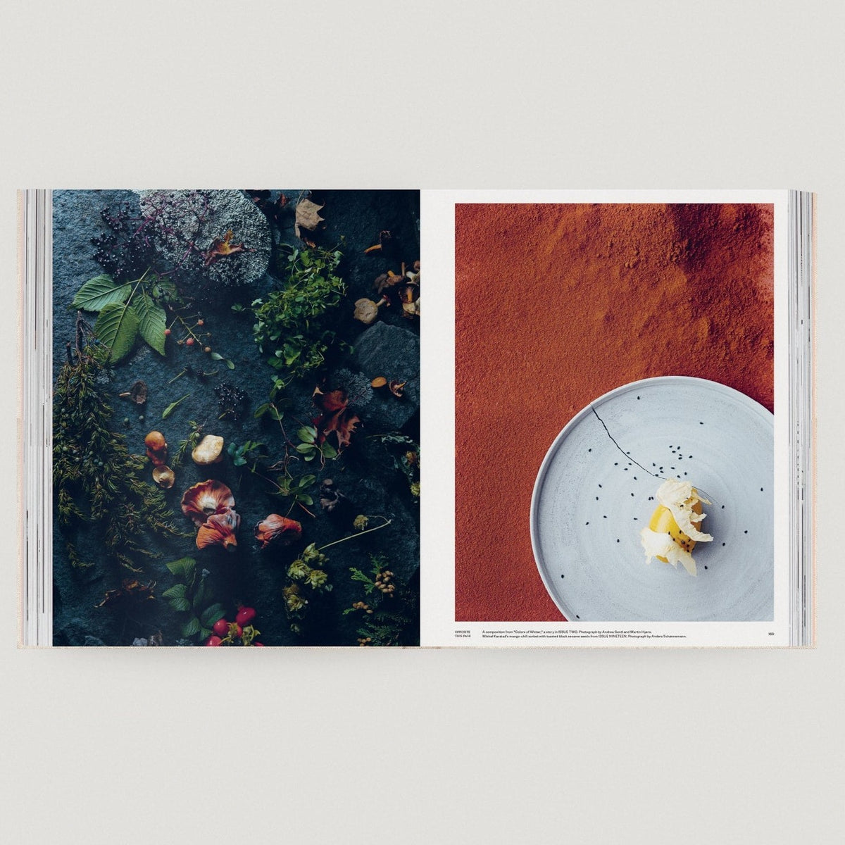 THE ART OF KINFOLK: An Iconic Lens on Life &amp; Style