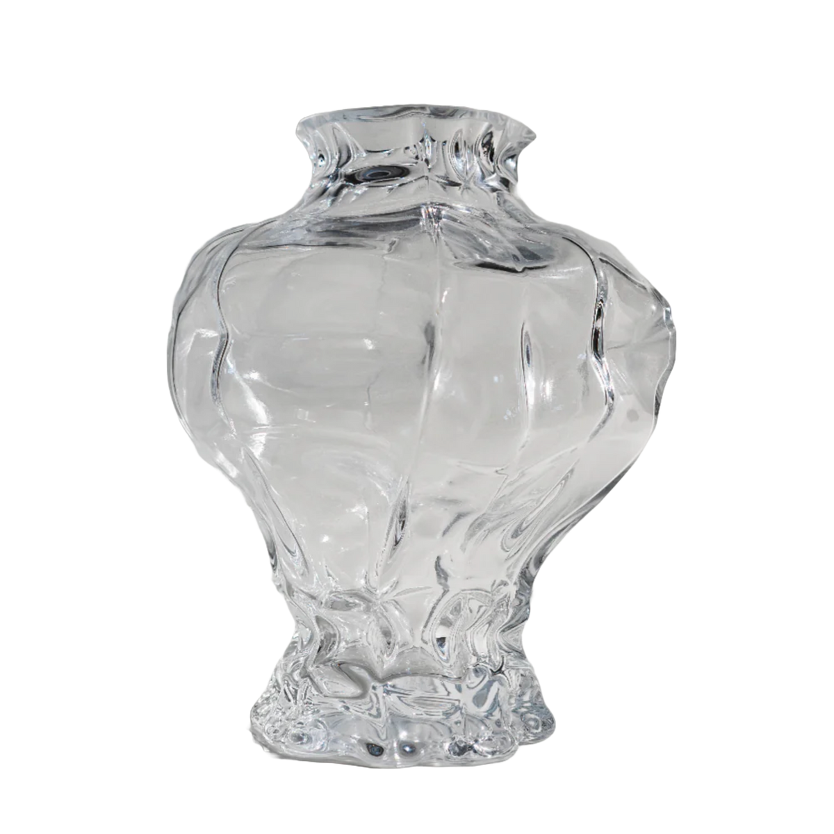 Ammonit Vase - Clear