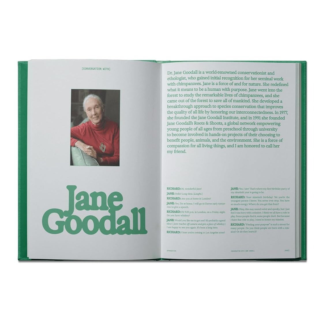 Flamingo Estate | The Guide to Becoming Alive