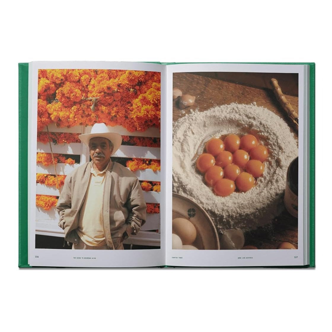 Flamingo Estate | The Guide to Becoming Alive