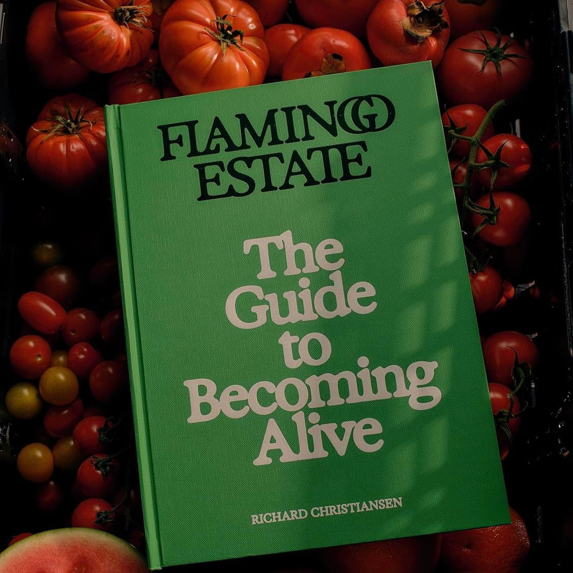 Flamingo Estate | The Guide to Becoming Alive
